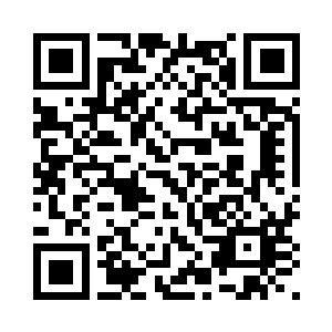 整个项目都蝴蝶成了另外一番模样二维码生成