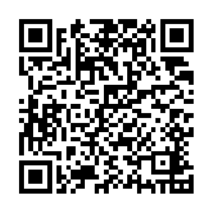 整个风云正在更新的书里至少有三分之一都发了类似的单章二维码生成