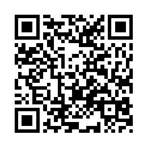 整个魔蛇岛自今天以后已经彻底成为历史了二维码生成