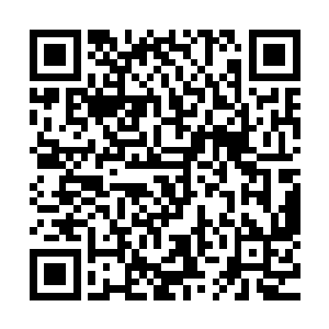 整个黑漆漆的旷野在屏幕上只呈现出大片灰蓝色的天空轮廓来二维码生成