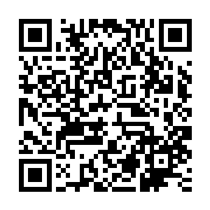 整个黑蛟一族的议事大殿之中居然全都是拥戴龙玉山的呼声……二维码生成
