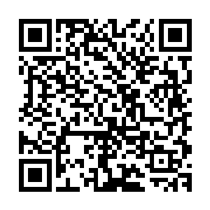 整个龙虎山所有道观大殿都要在这一长矛之下毁于一旦的时候二维码生成