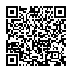 整体造型由下往上向内收缩以降低雷达反射截面二维码生成