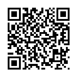 整只药箱的打造成本超过一千万元二维码生成