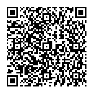 整天在外面忙的人还好自己这姐夫一年有半年都吊在岛上一天下来不是和鱼玩就是睡大觉带孩子二维码生成