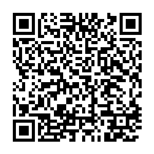 整天都被比赛压力所笼罩的选手们自然不会错过这个休闲的好机会二维码生成