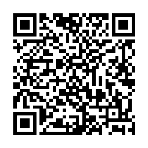 整小水蓝发带幻化出来的汪洋瞬间变成了一片冰封的世界二维码生成