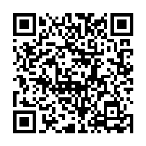 整座生物实验室里的各种玻璃箱都落入了观众们的眼帘二维码生成
