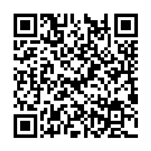 整座的武者全部被海族强者以残忍的手段屠戮殆尽二维码生成
