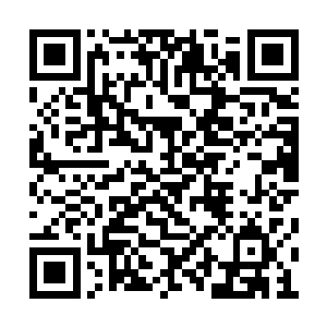 整座离宫大概也只有他和那名麻袍老人能够看到二维码生成