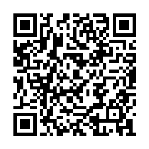 整座血战魔界和整片翡翠大陆都将在我面前颤抖二维码生成