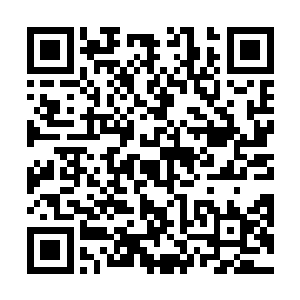 整支商队当中也是以林家和李虎联合商队势力是最大的二维码生成