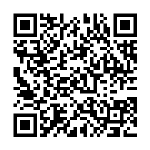 整整一两个小时的激烈战斗已经让他感觉到一丝疲倦了二维码生成
