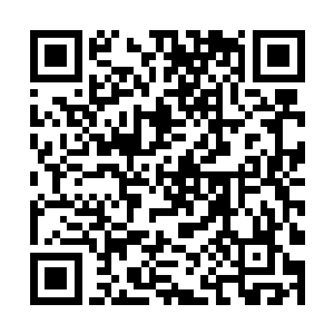 整整七名圣皇五重天境界的强者大战打的极为的壮观二维码生成