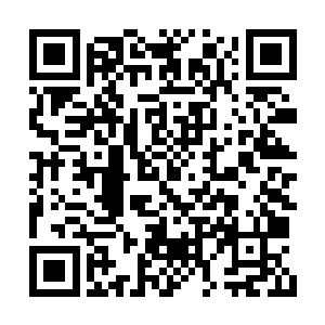 整整排了一个小时还是望不见人群那头的售票处二维码生成
