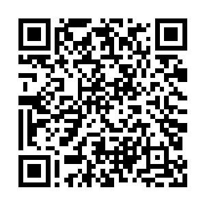 整整用了两天多的时间才从血魔宗到了炼狱魔宗二维码生成