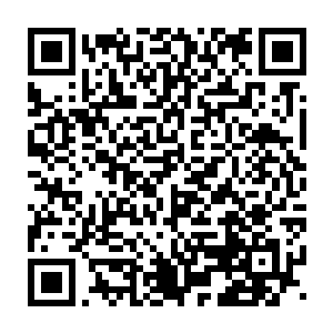 整条试炼之路和他有仇的而且能够有资本和舍得请杀手皇朝的杀手的二维码生成