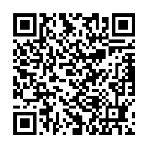 整架机甲几乎是扭曲了一般从火焰山八代中间贯彻而过二维码生成
