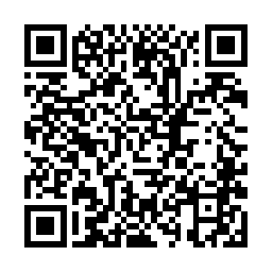 整棵树被惊人的空间力量凝缩成了一颗拳头大的小球二维码生成