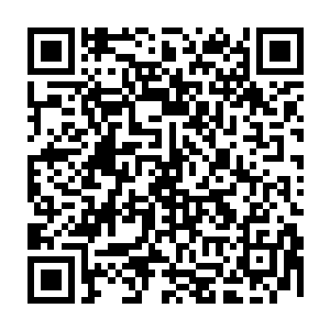 整理了最近巴克在海上航行日子里所有能搜集到的资料在巴克那部保密电脑里二维码生成