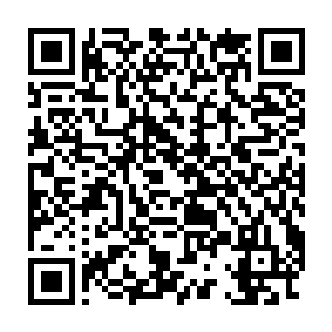 整齐如流苏的花蕊都随着她的酣睡搓裹的乱糟糟的家伙是哪里的野花啊~二维码生成