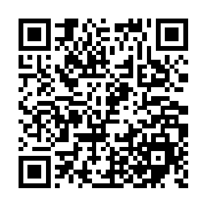 敷衍过官家也就罢了…………可是妾身夫君又说二维码生成