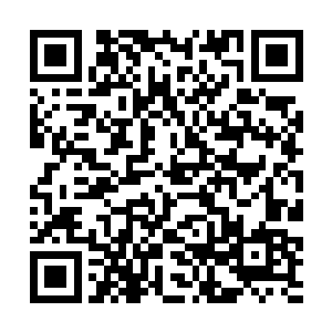 文中对柳林现在所做的一切农业活动都做了详细报道二维码生成