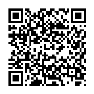 文化工作在很多领导心目中本身就是有它不多无它不少的鸡肋二维码生成