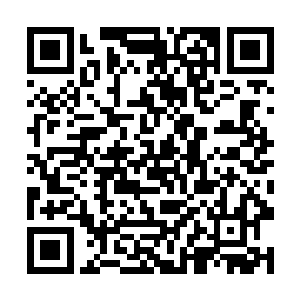 文字首发我们发现在于夫人手机信号消失的几分钟后二维码生成