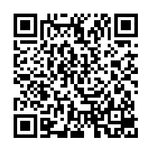 文学界又是一个需要人生积累才能有成就的圈子二维码生成