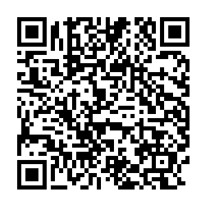 文學吧wxba不仅是王山月这类与秦嗣源有一定师徒之谊的小辈过来拜访二维码生成