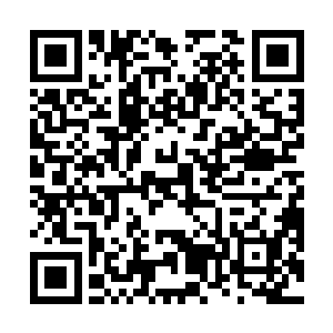 文强和宋天宇还有张家的双胞胎兄弟四人在向这边走来二维码生成