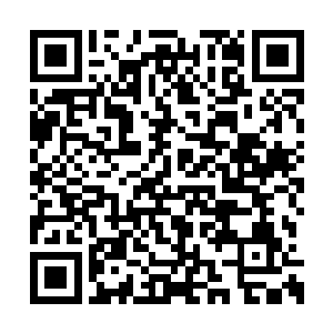 文彦博同样坐正了身子脸上的嬉戏之态全然褪去二维码生成