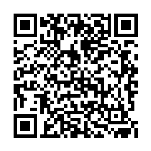 文文和拳王也不负众望地完成了重建天极星秩序二维码生成