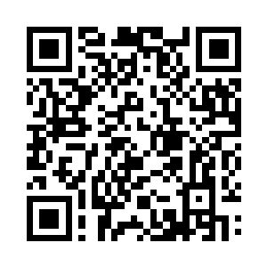 文文和拳王对自身系统进行全面优化和防御二维码生成