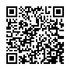 文明彻底倒退……孟奇用未来者的眼光叹息了一声二维码生成