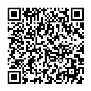 文明是使智慧生命脱离野蛮状态的所有社会行为和自然行为构成的集合二维码生成