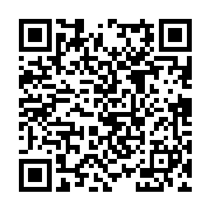 文明游戏的职业选手这可是联邦年轻人中最受欢迎二维码生成
