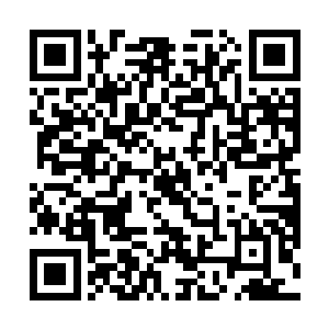 文森特到底应该感谢这个小丑还是继续厌恶这个小丑呢二维码生成