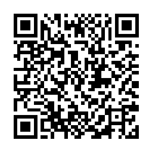 文瑶等人是进入宗门第三天才被白灵道人收入门下的二维码生成