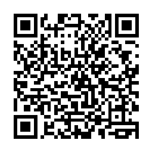 文章的阅读量已经超过了500……天上掉馅饼的好活动二维码生成