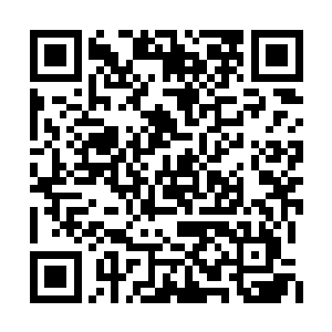 斑斓水母终于承受不住她如同火山爆发般的重拳二维码生成