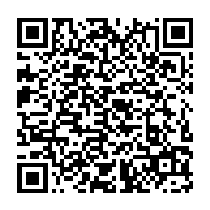 斑比回去大火的森林寻找费琳……也忘不了自己当年看得如何欢乐二维码生成
