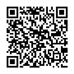 斗灵圣莲的其他部位在这一刻瞬间转化为白色的流光二维码生成