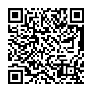 斗魔跟机器人大战的一些boss倒是有挺多共同点的……二维码生成