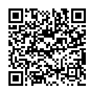 断壁残垣之间还能看到为数不多的已经腐烂的尸体二维码生成