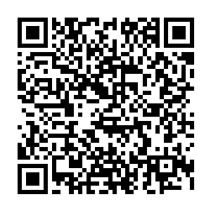 断崖底部的尸骸和前方的迦叶遗蜕虽然看起来生出了一diǎn若有似无的灵智二维码生成