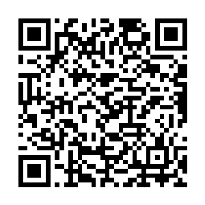 断手上诡异地传出声音而后竟然自动地松开我飞走了二维码生成