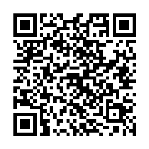 断断不会相信眼前这个一脸温和笑意外带腼腆表情的人二维码生成