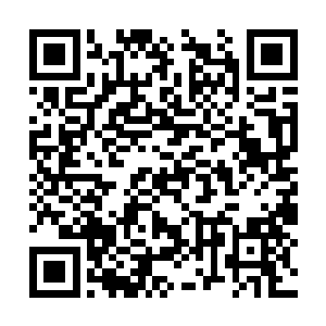 断水界主和凌云界主是无法感应到石棺外的事情的二维码生成